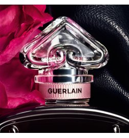 La Petite Robe Noire - Rose Noire - Eau de Parfum